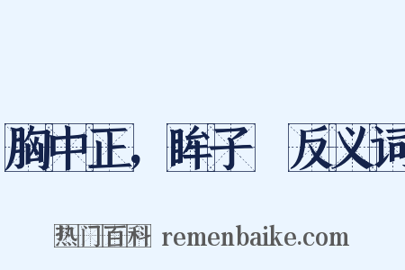 胸中正，眸子瞭反义词是什么意思的图片